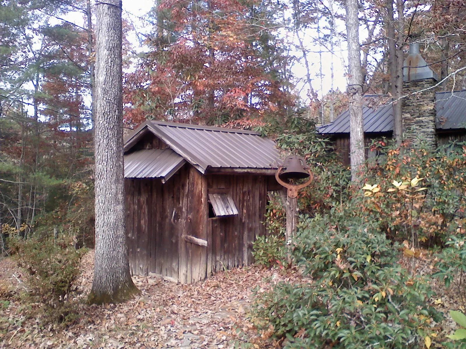Small metal roof on a rough sawn shed in the woods in Palmer